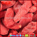 Poulet halal goji berry goji guarana frozen goji berry with low price